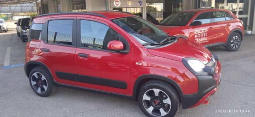 Fiat Panda usata a Frosinone