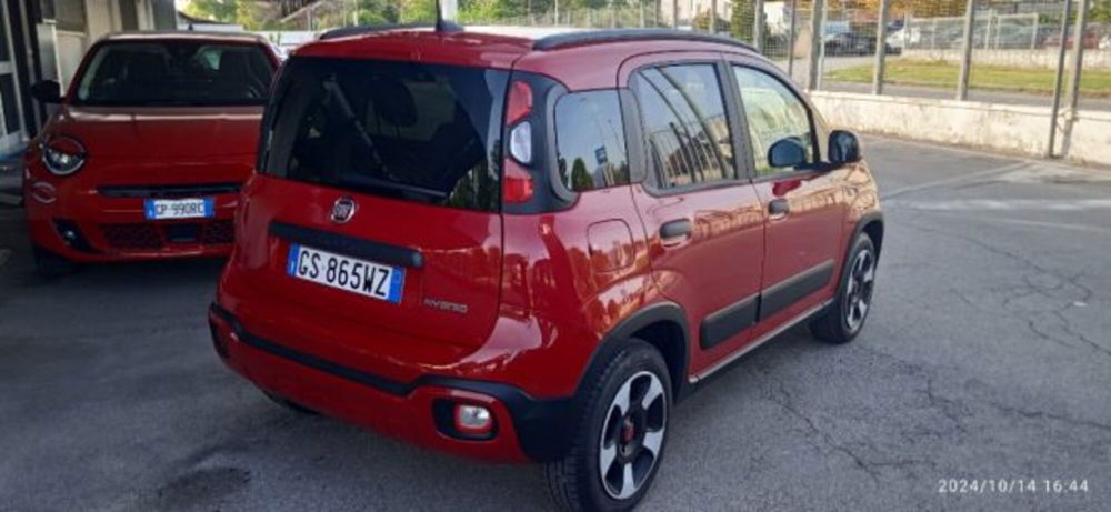 Fiat Panda usata a Frosinone (2)