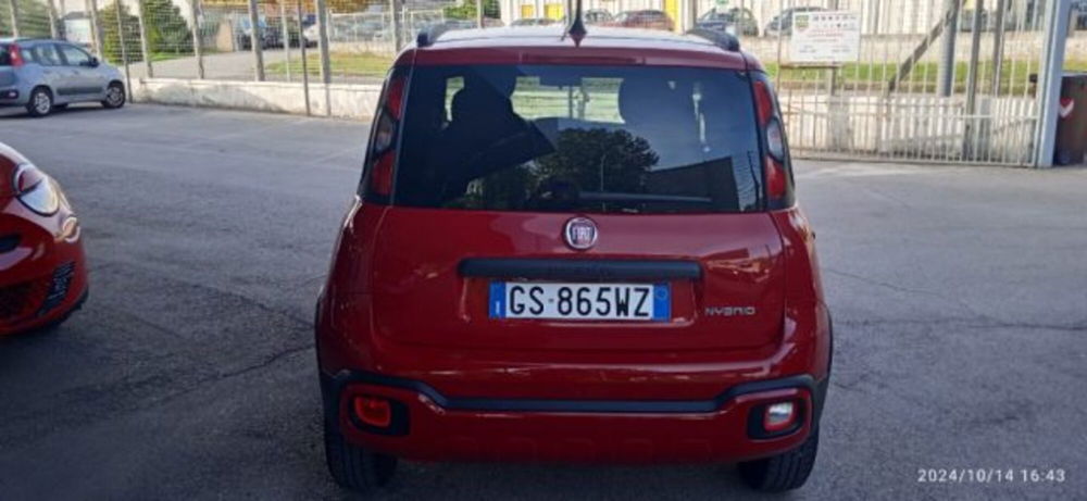 Fiat Panda usata a Frosinone (3)