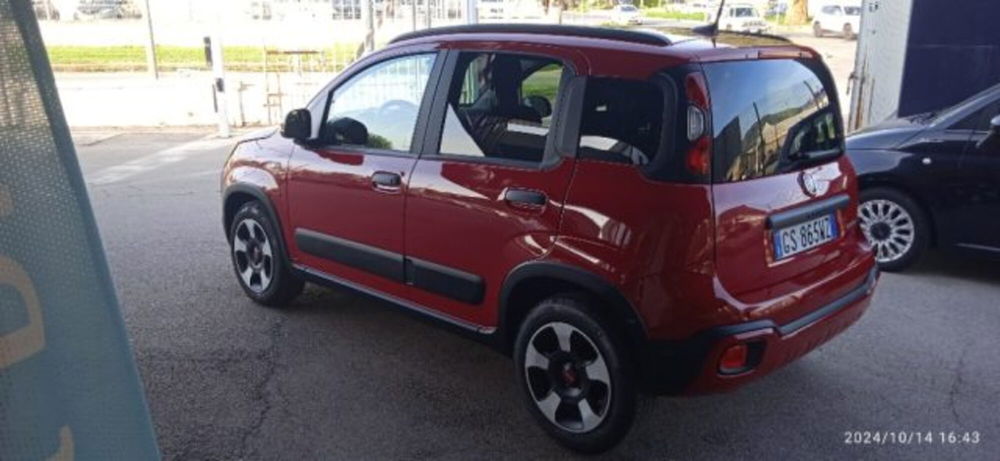 Fiat Panda usata a Frosinone (4)