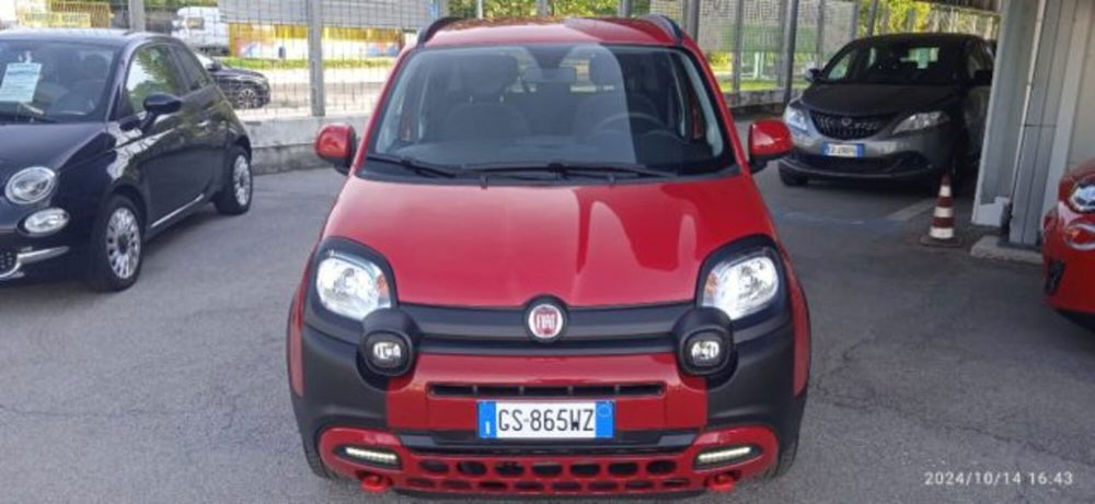 Fiat Panda usata a Frosinone (6)