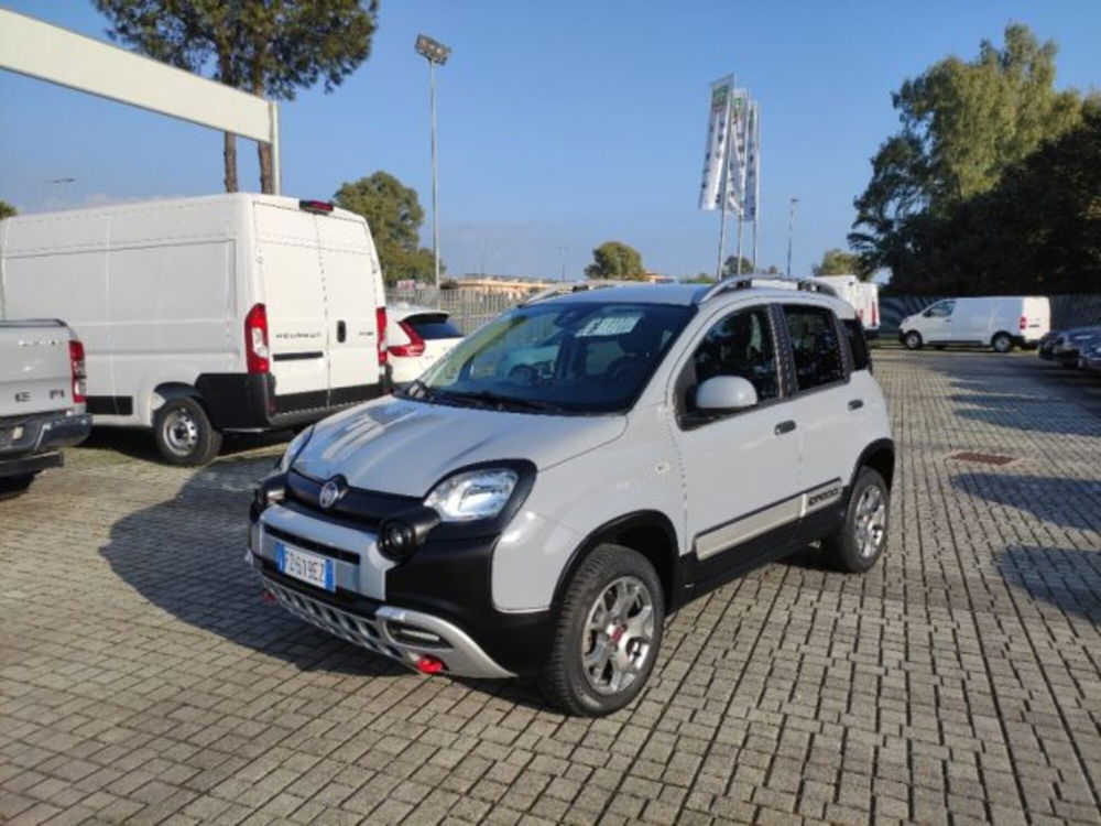 Fiat Panda Cross usata a Frosinone