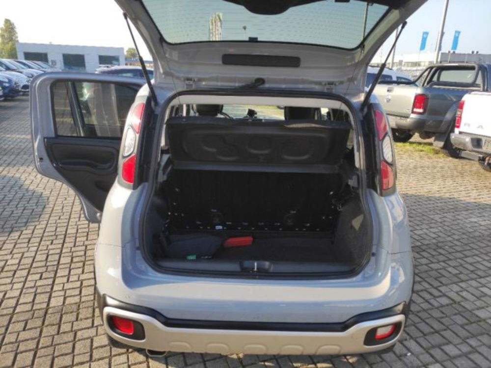 Fiat Panda Cross usata a Frosinone (12)