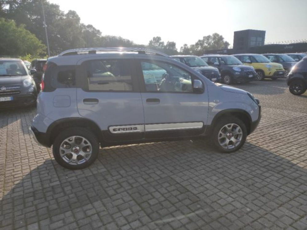 Fiat Panda Cross usata a Frosinone (7)