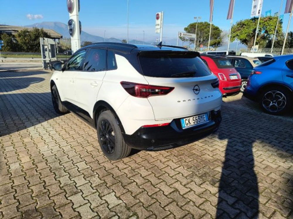 Opel Grandland nuova a Frosinone (4)