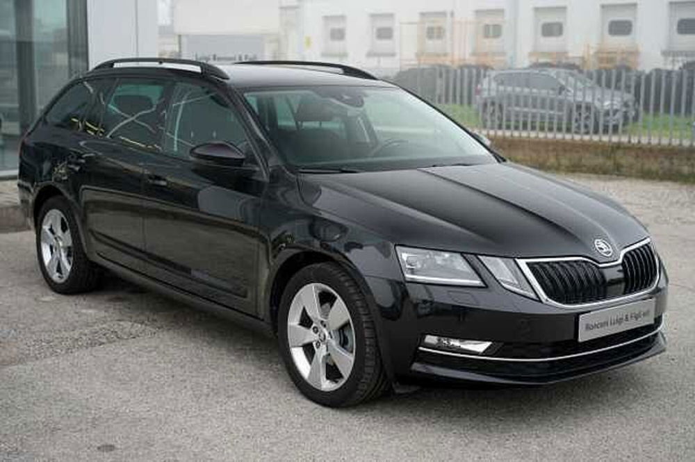 Skoda Octavia usata a Rovigo