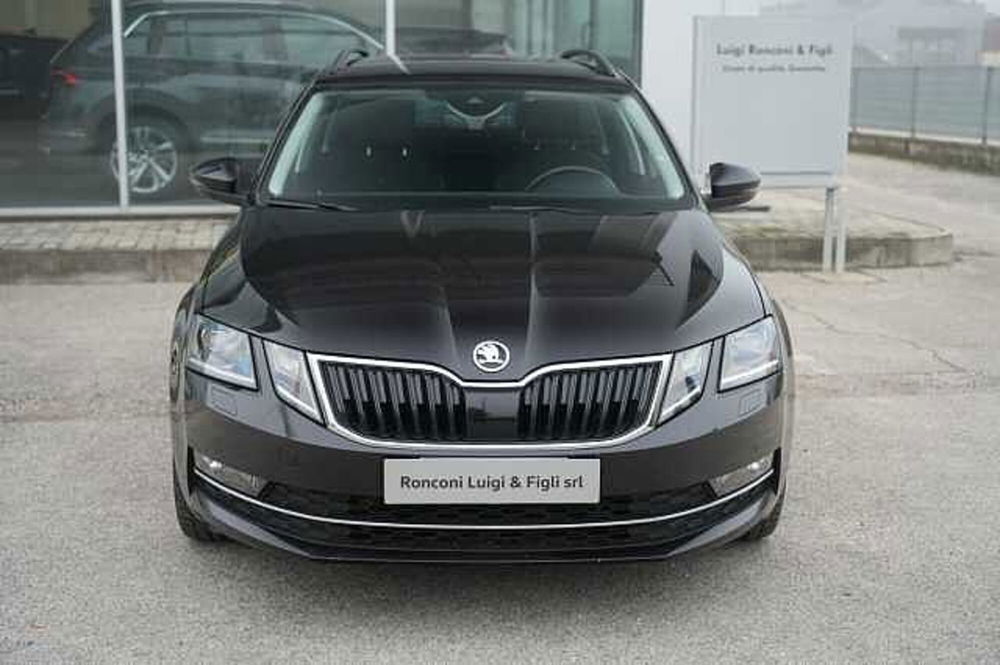 Skoda Octavia usata a Rovigo (2)