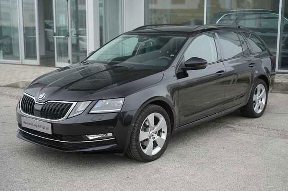 Skoda Octavia usata a Rovigo (3)