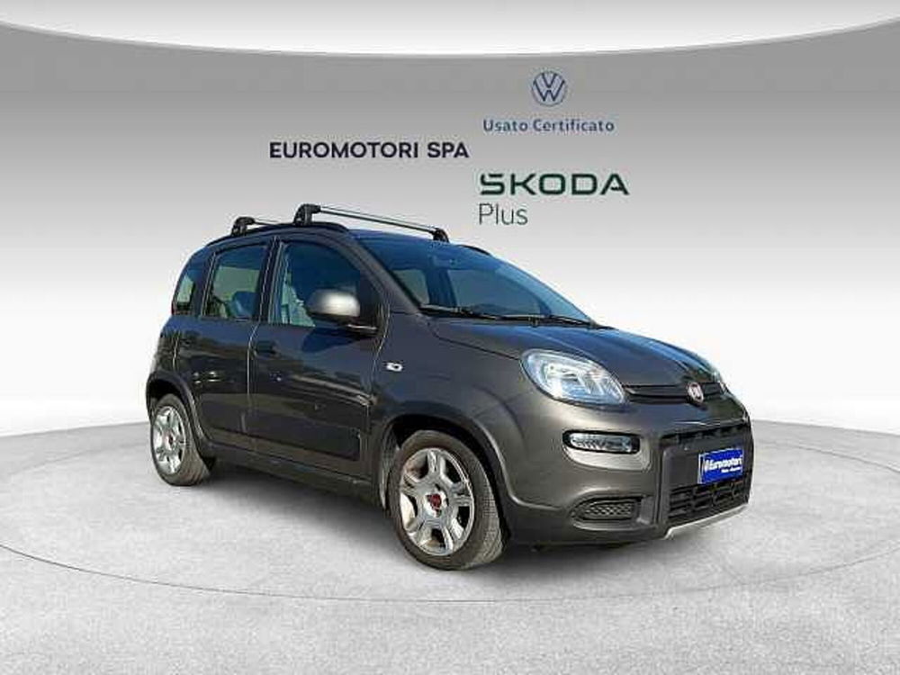 Fiat Panda usata a Grosseto (6)