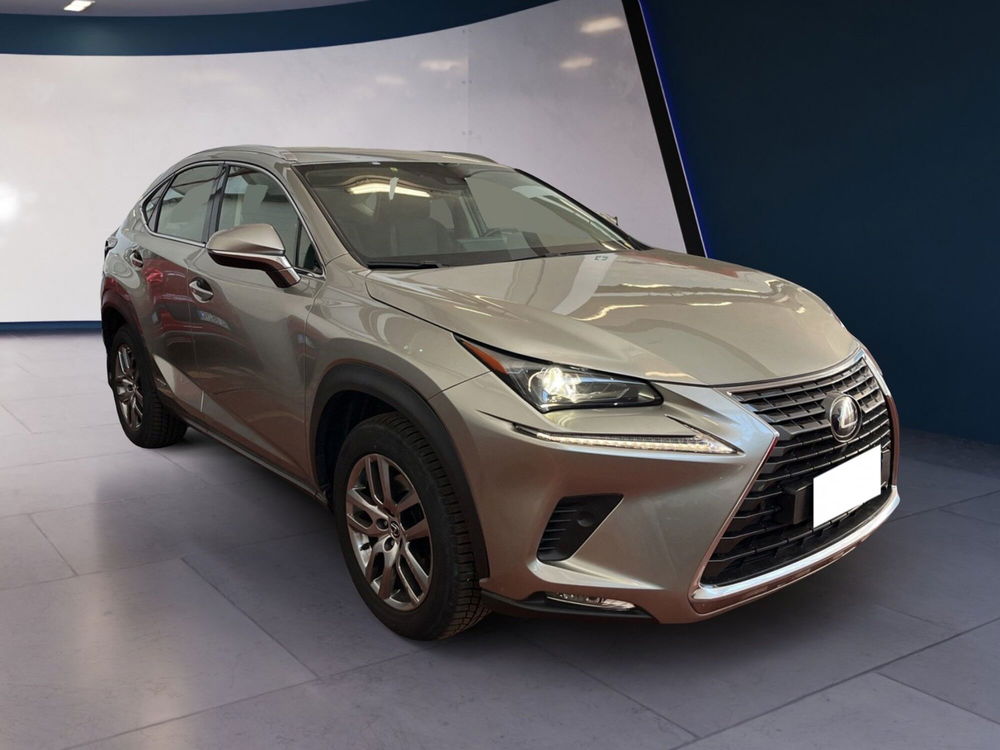 Lexus NX usata a Torino (3)