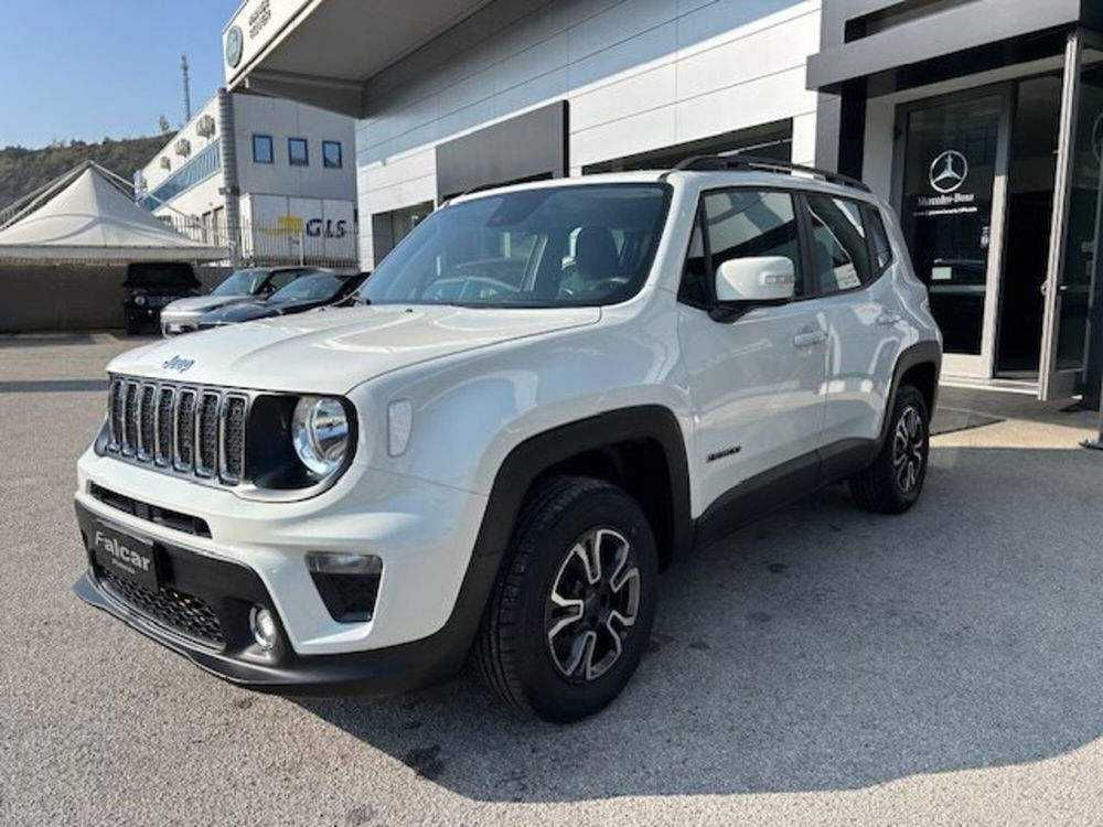 Jeep Renegade usata a Potenza (5)