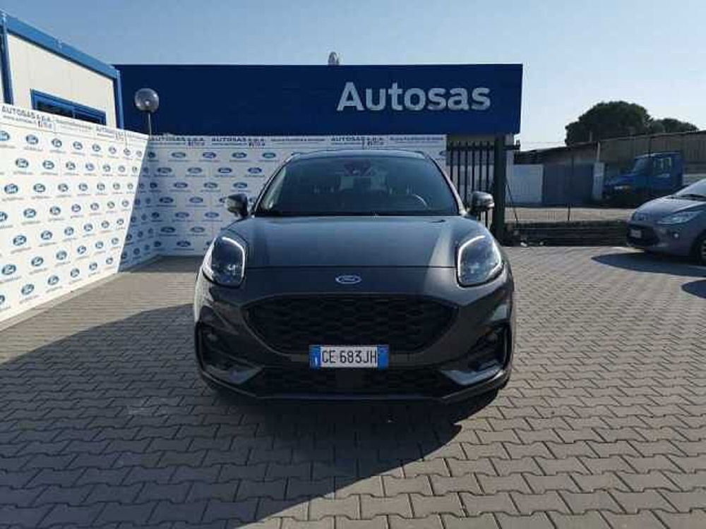 Ford Puma usata a Firenze (4)