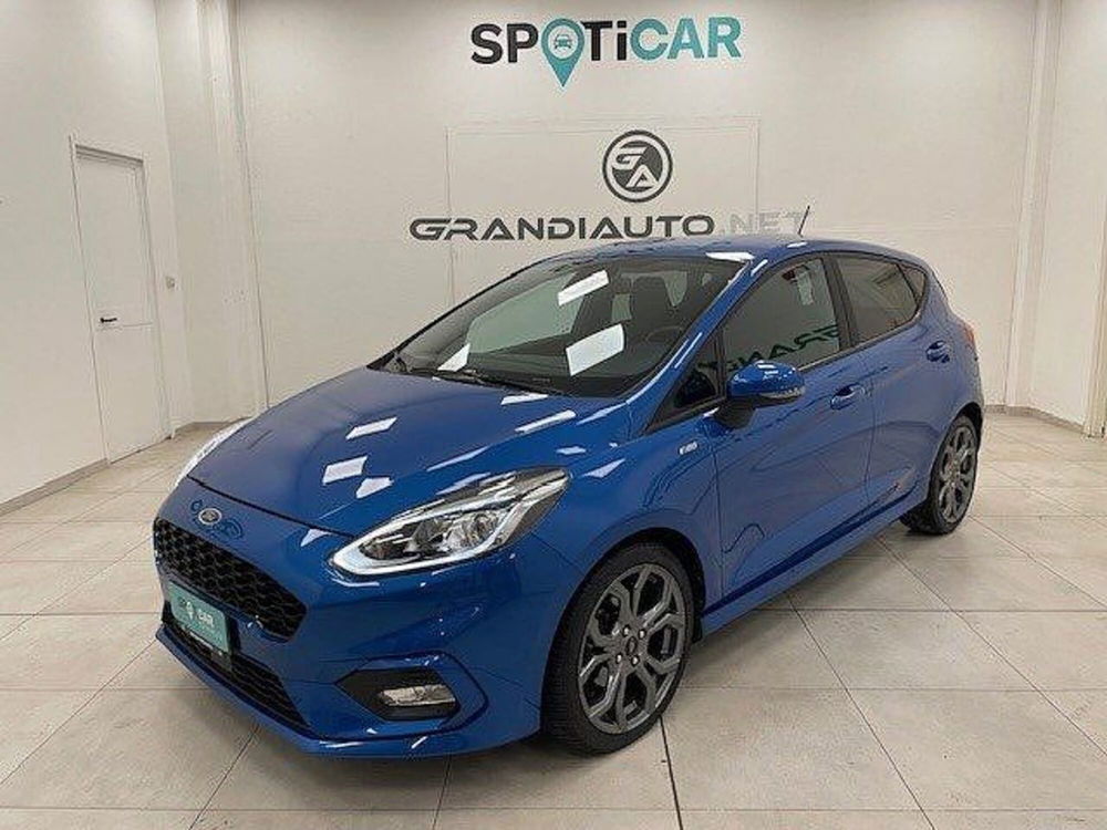 Ford Fiesta usata a Alessandria