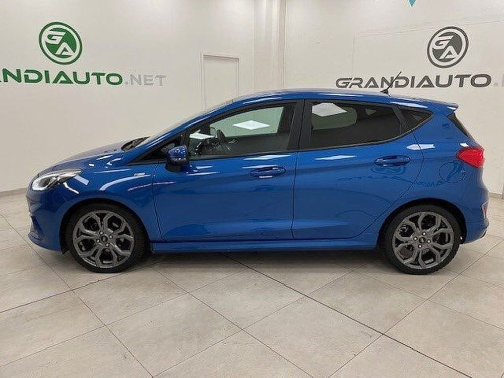 Ford Fiesta usata a Alessandria (2)