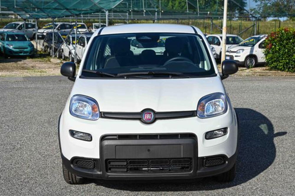 Fiat Panda nuova a Torino (2)