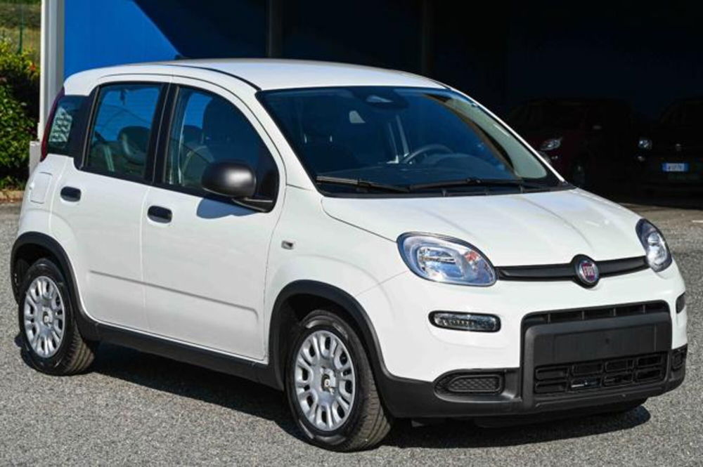 Fiat Panda nuova a Torino (3)