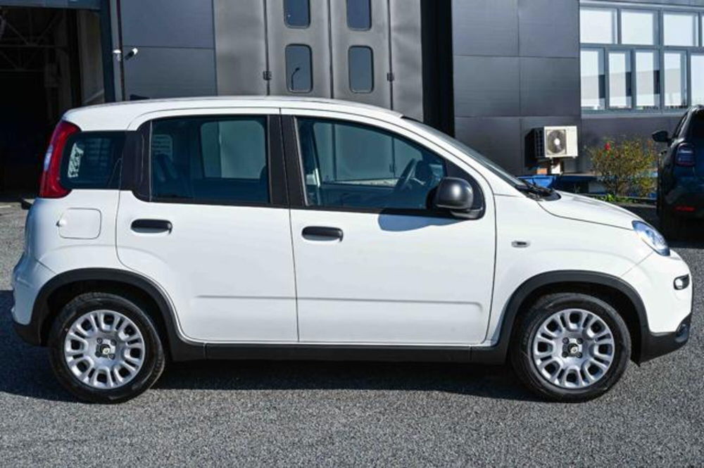 Fiat Panda nuova a Torino (4)