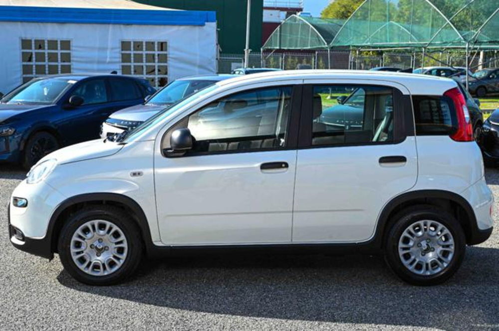 Fiat Panda nuova a Torino (8)