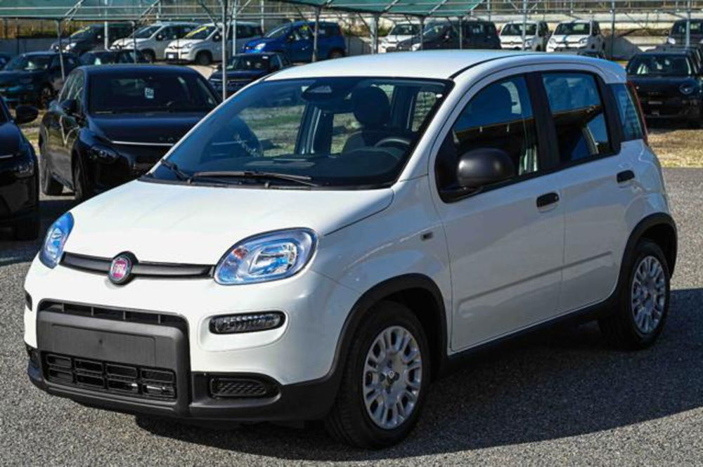 Fiat Panda nuova a Torino (9)