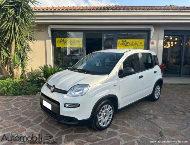 Fiat Panda 1.0 firefly hybrid s&amp;s 70cv 5p.ti del 2023 usata a Frascati