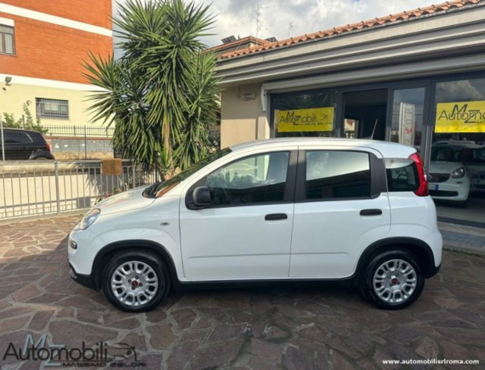 Fiat Panda usata a Roma (2)