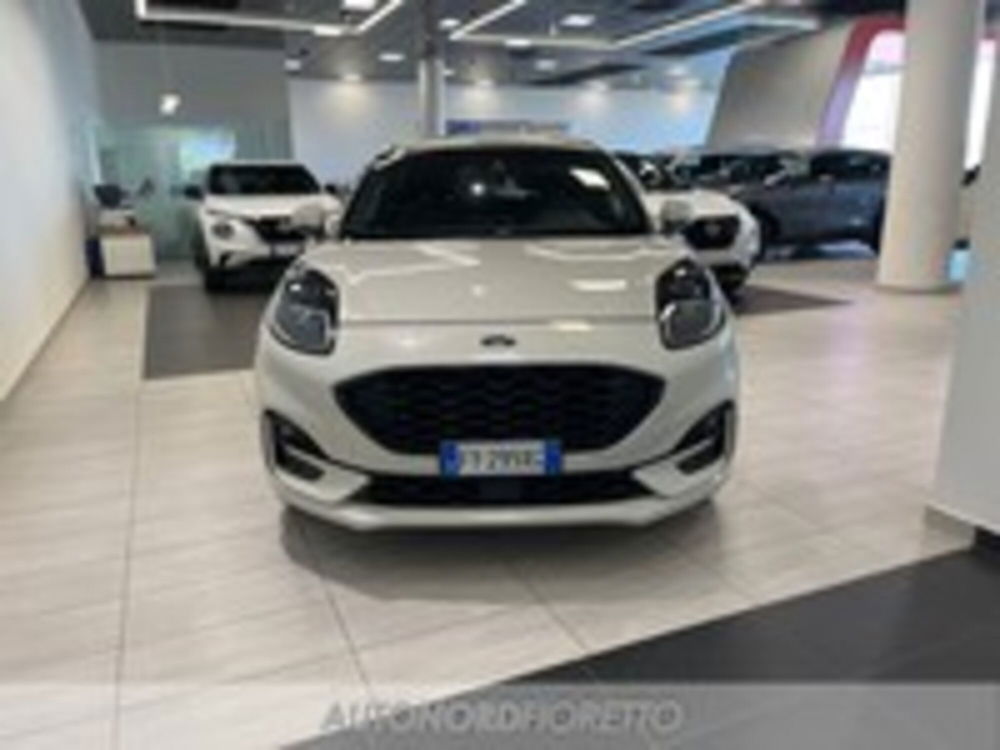 Ford Puma usata a Pordenone