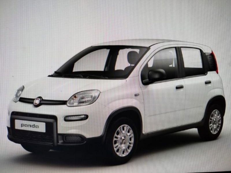 Fiat Panda 1.0 firefly hybrid s&amp;s 70cv 5p.ti nuova a Cesena