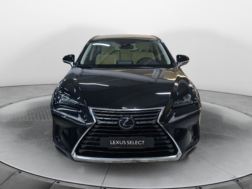 Lexus NX usata a Bologna (2)