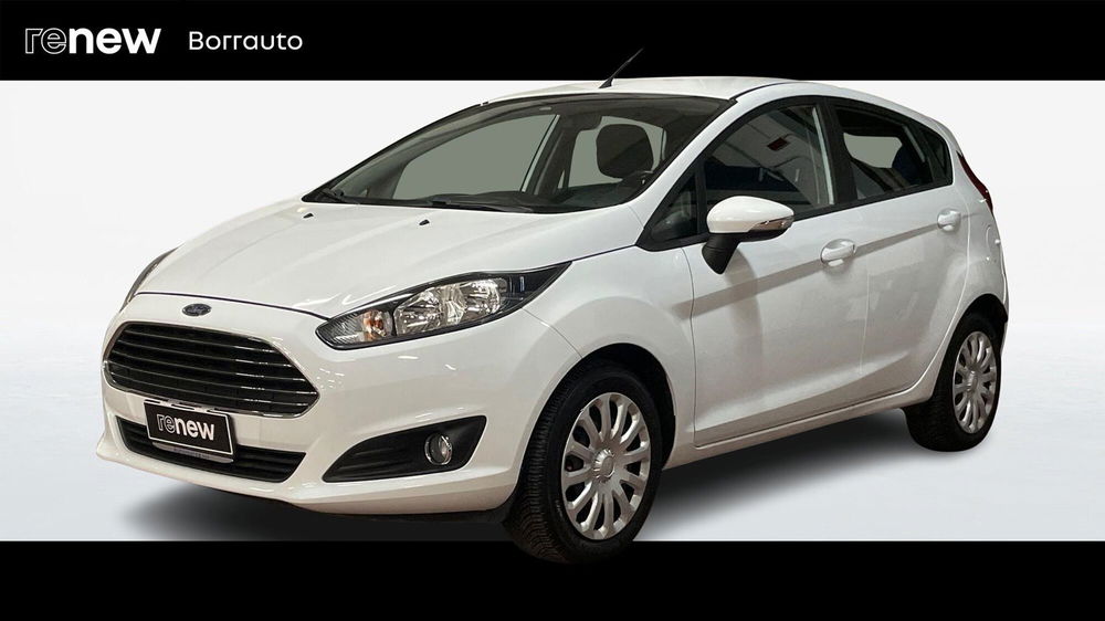 Ford Fiesta usata a Treviso