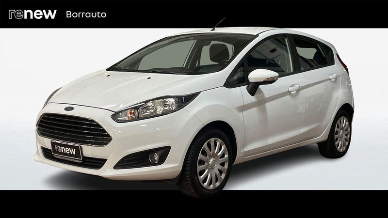 Ford Fiesta 1.4 5 porte Bz.- GPL Business N1 del 2015 usata a Montebelluna