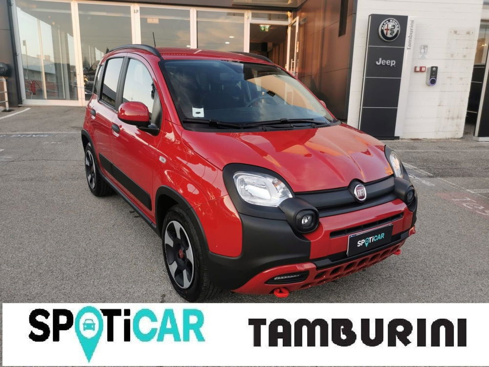 Fiat Panda Cross usata a Arezzo