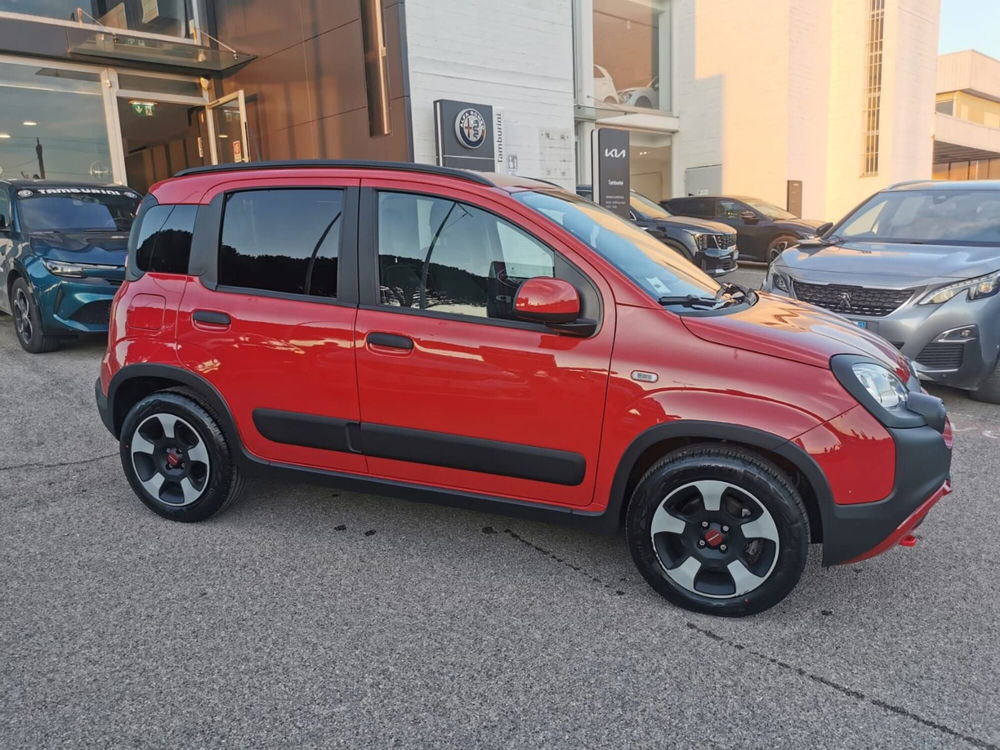 Fiat Panda Cross usata a Arezzo (3)