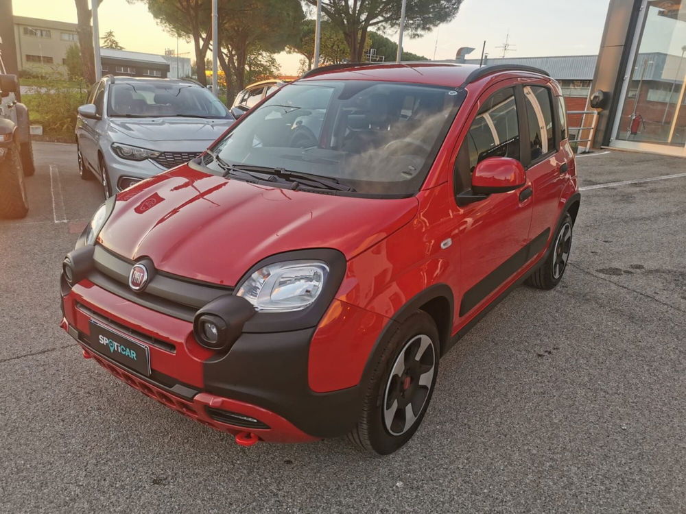 Fiat Panda Cross usata a Arezzo (4)