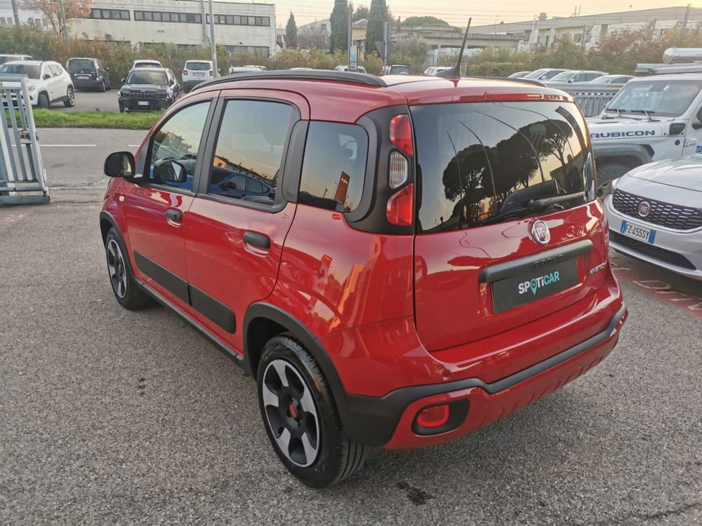 Fiat Panda Cross usata a Arezzo (7)