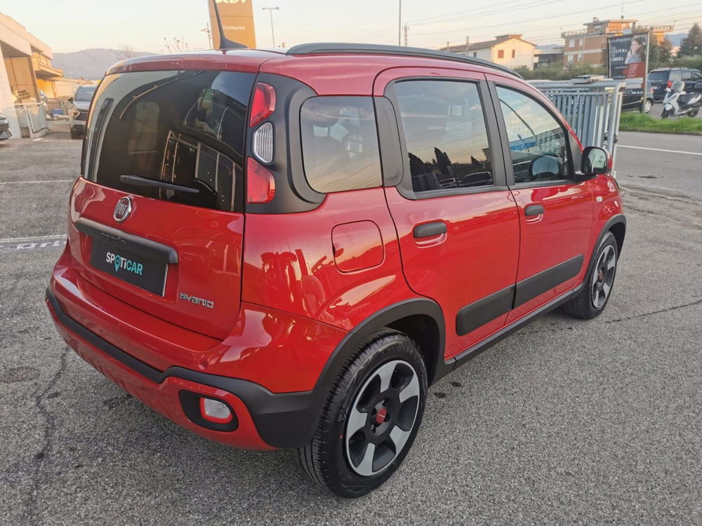 Fiat Panda Cross usata a Arezzo (9)