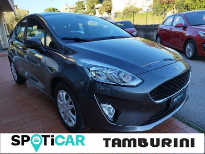 Ford Fiesta 1.5 EcoBlue 5 porte Business  del 2019 usata a Cortona