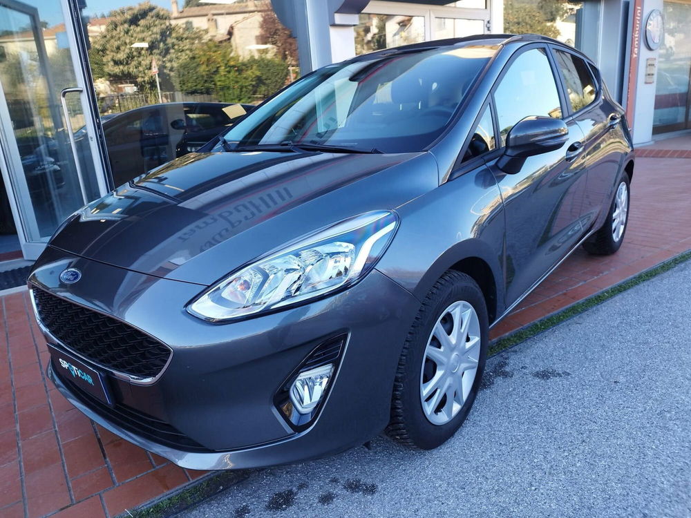 Ford Fiesta usata a Arezzo (2)