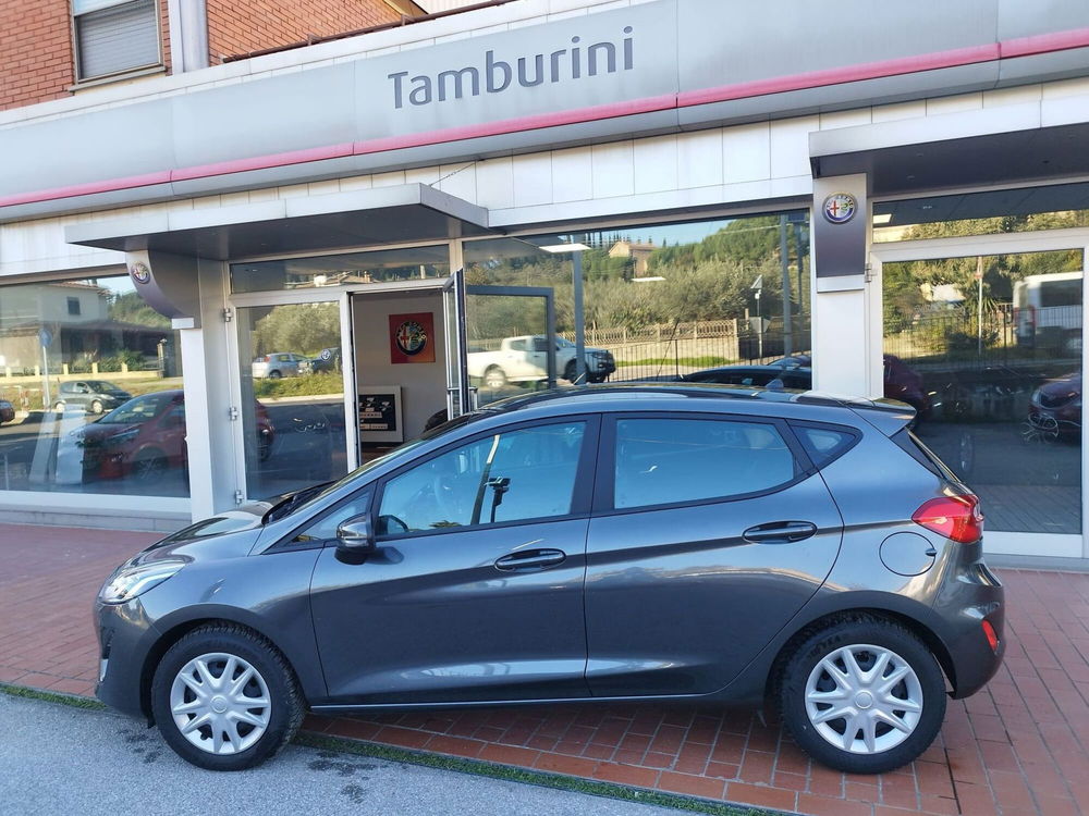 Ford Fiesta usata a Arezzo (4)