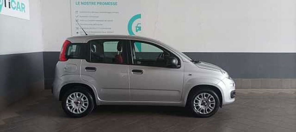 Fiat Panda usata a Salerno (10)