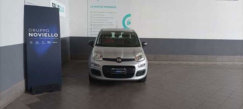 Fiat Panda usata a Salerno (2)