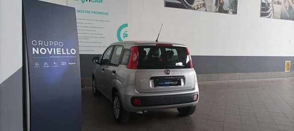 Fiat Panda usata a Salerno (5)