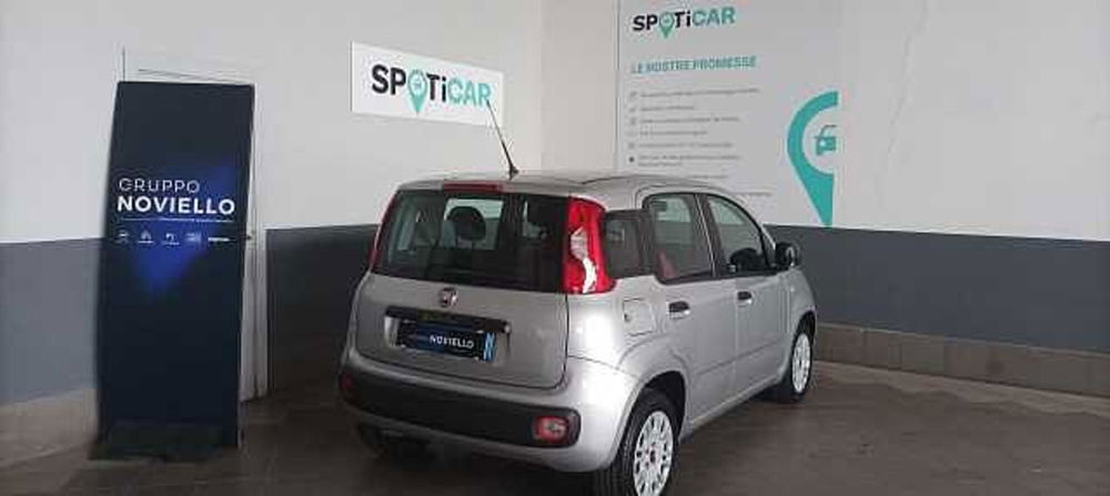 Fiat Panda usata a Salerno (6)