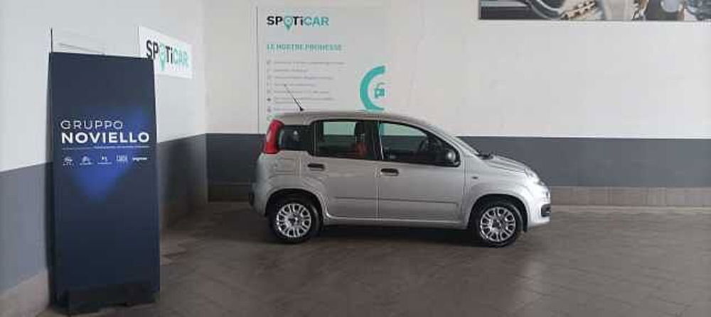 Fiat Panda usata a Salerno (7)