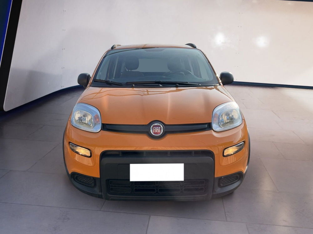 Fiat Panda usata a Torino