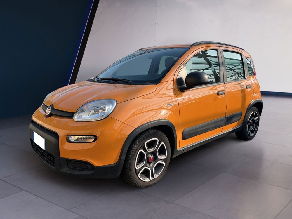 Fiat Panda usata a Torino (2)