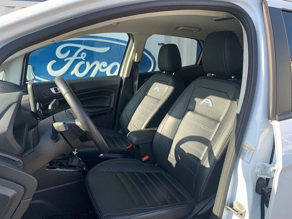 Ford EcoSport usata a Torino (12)