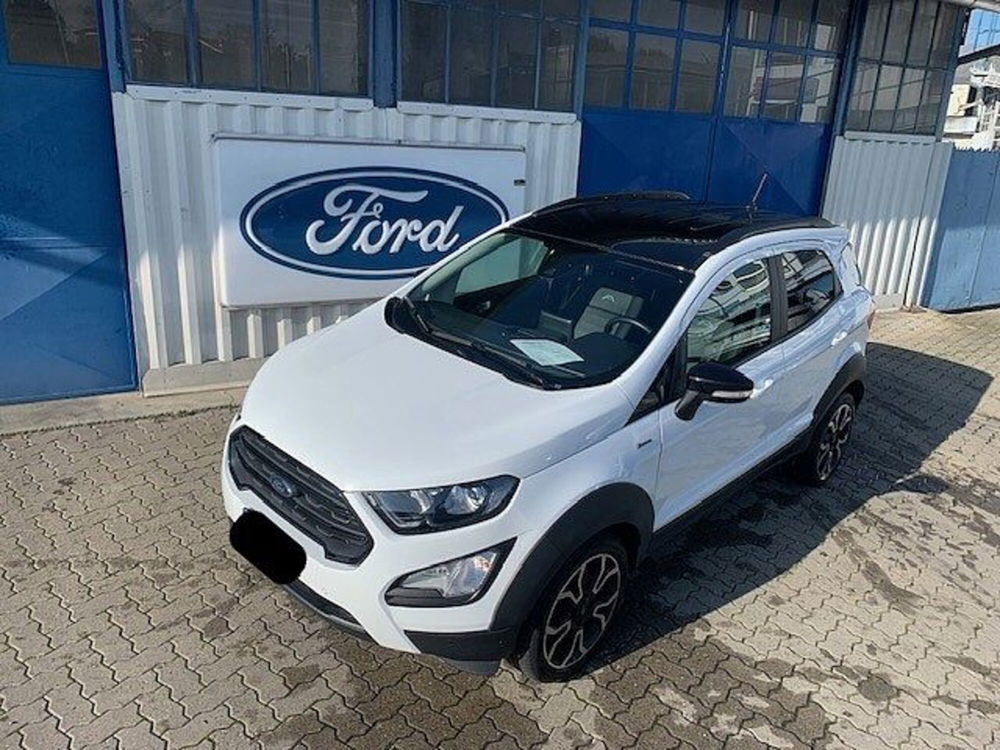 Ford EcoSport usata a Torino (2)