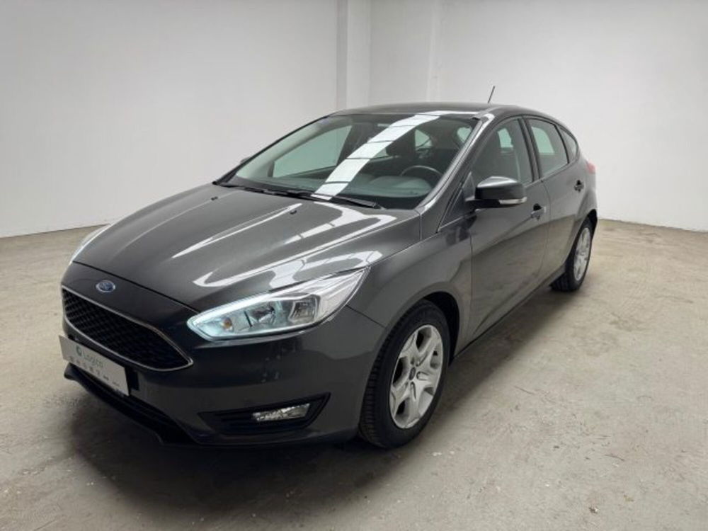 Ford Focus usata a Biella (5)