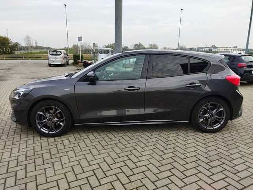 Ford Focus usata a Torino (3)