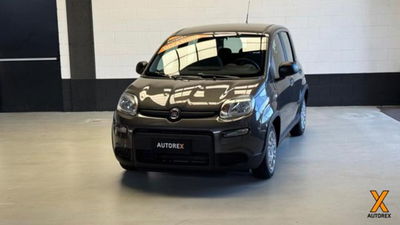 Fiat Panda 1.0 firefly hybrid s&amp;s 70cv 5p.ti del 2022 usata a Olgiate Olona